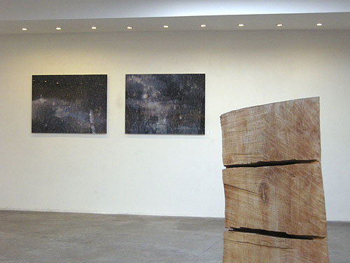 Rainscapes 