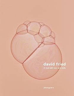 catalogue david fried