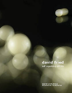 catalogue david fried